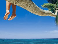 single reizen
