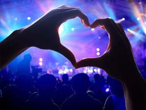 Zeer luxe live muziek Zeer luxe live muziek
